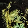 Image 4: American HorrorPlex: Louisville's Award-Winning Haunted Attraction