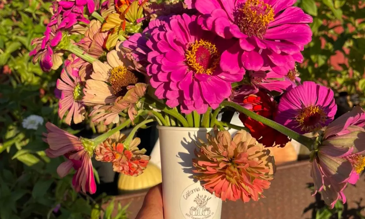 Up to 36% Off on Flower Picking at California Farm Life