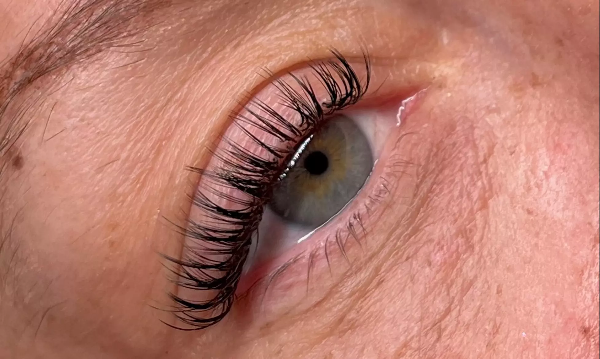 Up to 55% Off on Eyelash Extensions at Lee Lash LLC