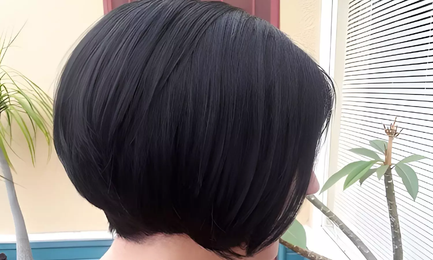Women's Haircut & Styling or Shampoo / Blow Dry Style 