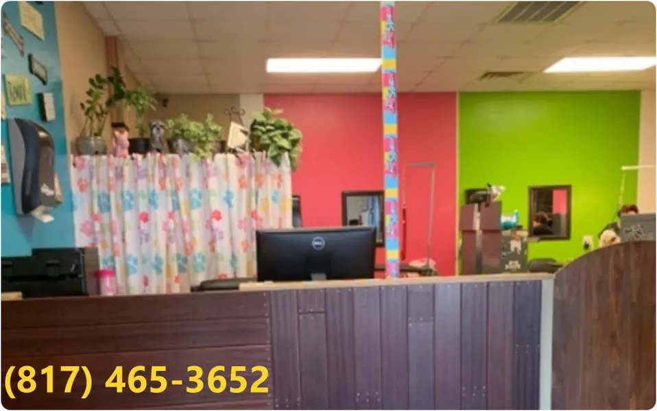 Up to 50% Off on Pet Grooming at The dogSpaw - Primary Image