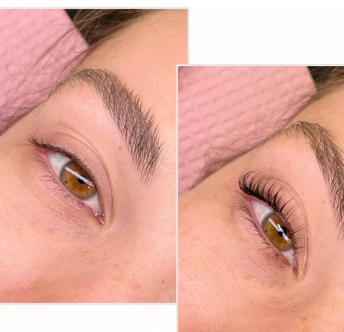 Up to 40% Off on Eyelash Tinting at Bloom into Beauty - Primary Image