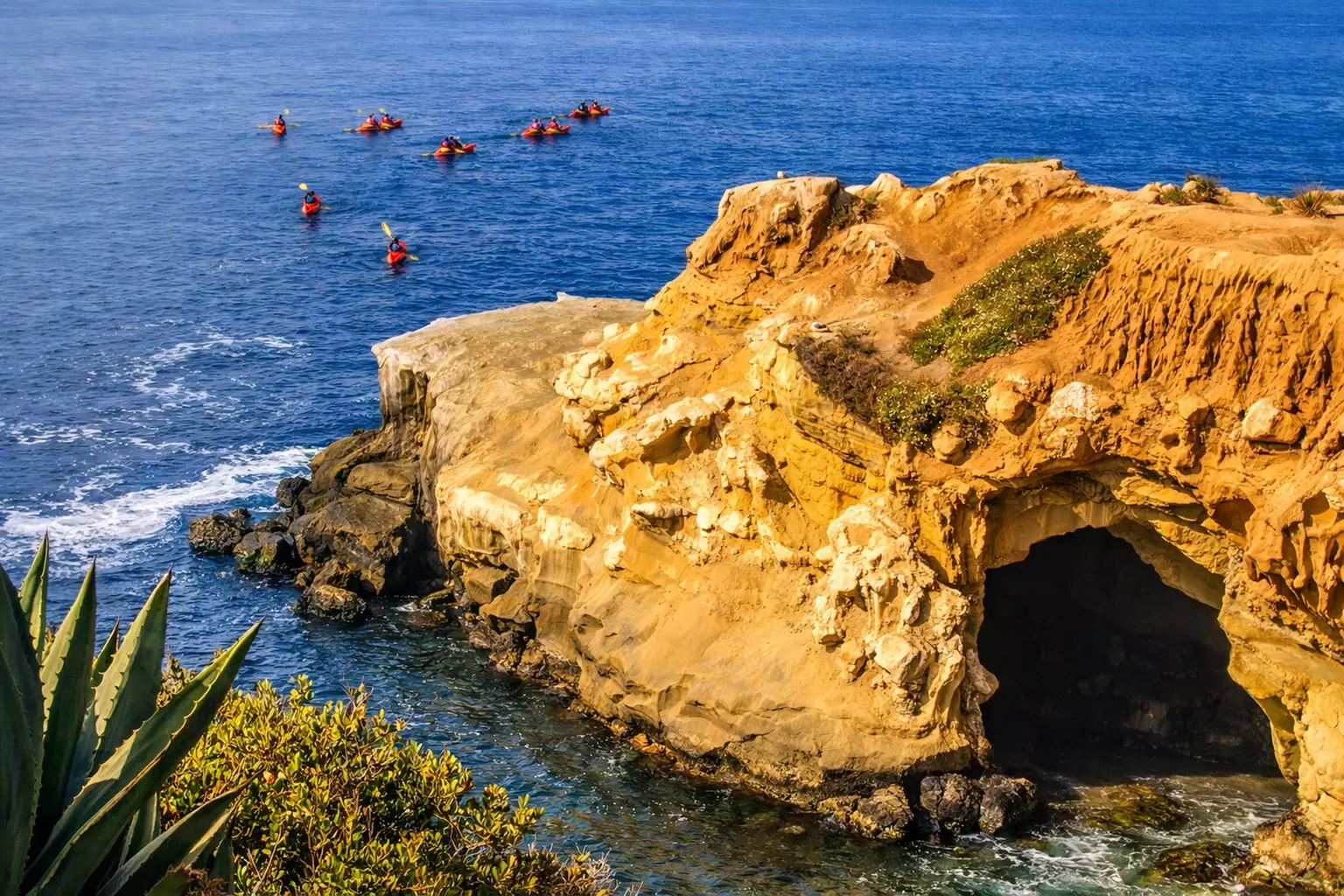 Explore One Full-Day Snorkel Rental with Choice of Wetsuit for 1 or 2