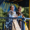 Image 2: Single-Day General Admission for St. Louis Renaissance Festival