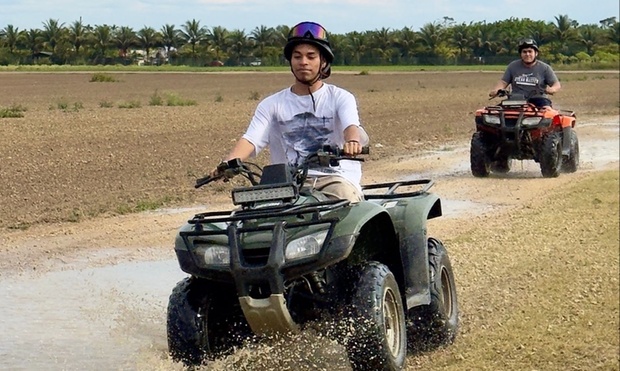 What to expect media