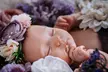lara's paradise Offers Newborn Photography at lalali photography to Capture a Timeless Moments (Up to 60% Off) - Image 4