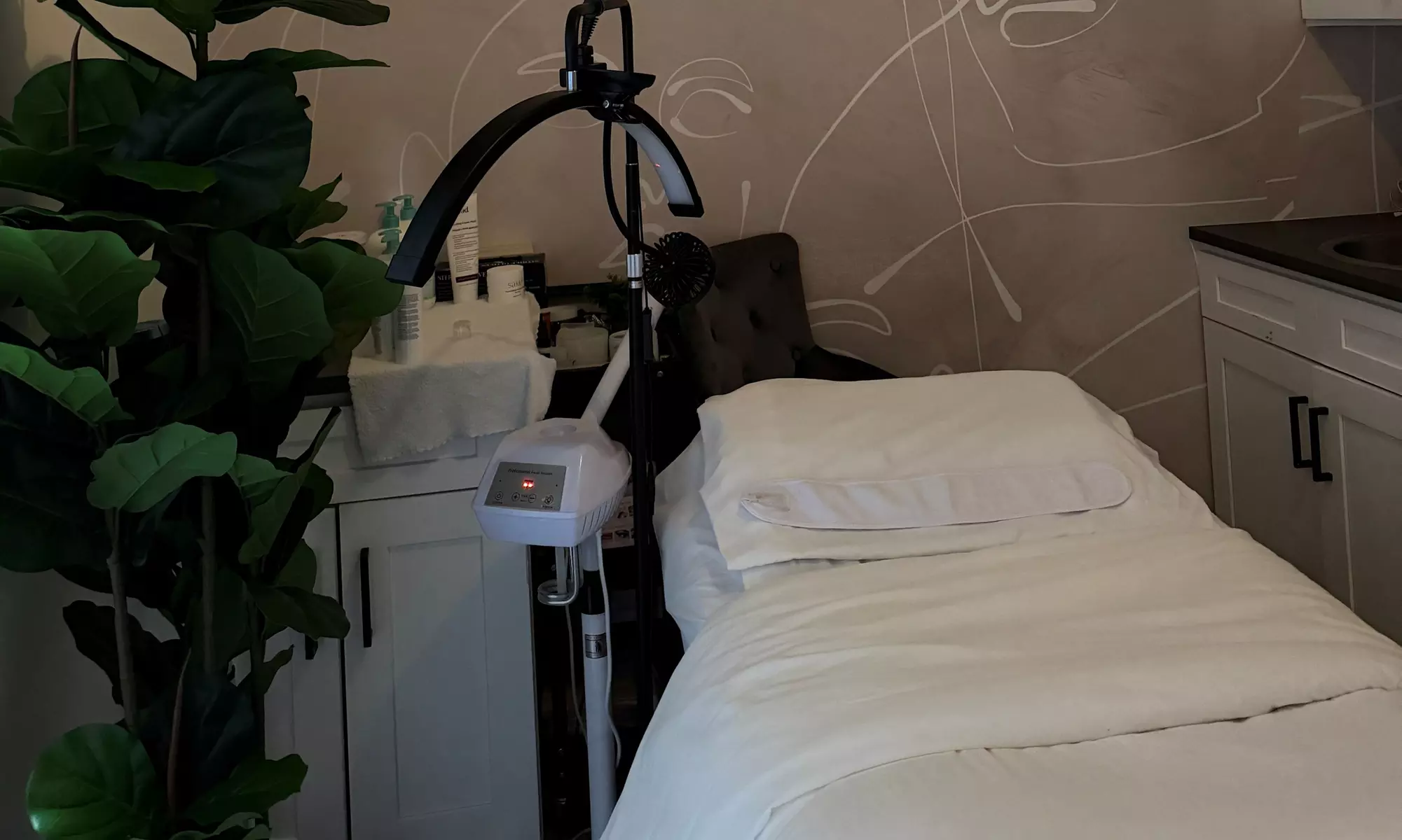 Enjoy 1, 2, or 3 60-Minute Signature Facial Sessions for 1