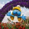 Image 9: Nature & Ocean Wonders: Dubai Miracle Garden + Dubai Aquarium Combo