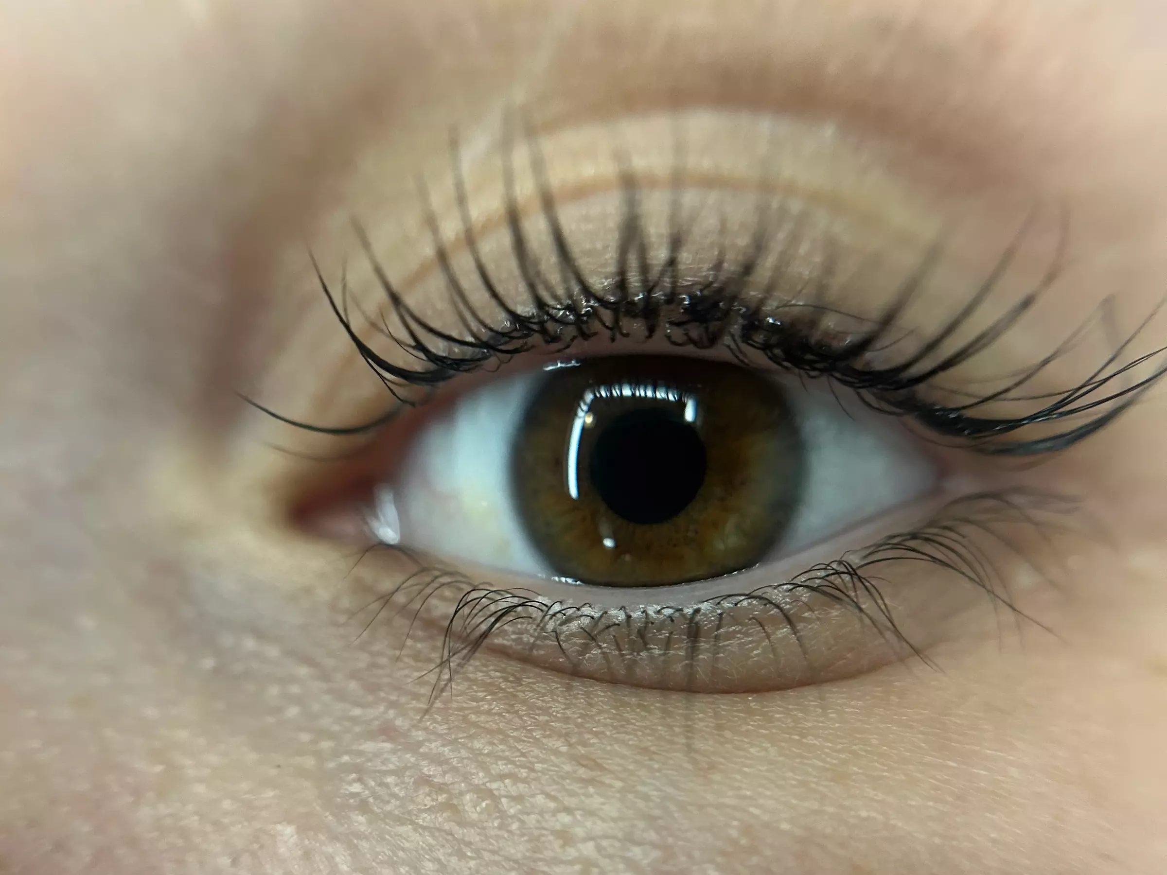 Jusqu'à 30% de remise sur Permanente cils chez El Beauty Women