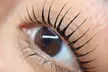 Transform Your Eyes with a Gentle Korean Lash Lift (No Tint) at Lashes by NicoleC (Up to 35% Off) - Second Medium