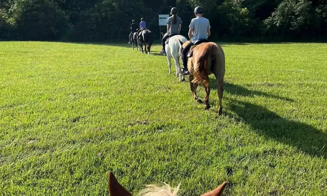 Horse Back Riding Adventure for Up to 4 People