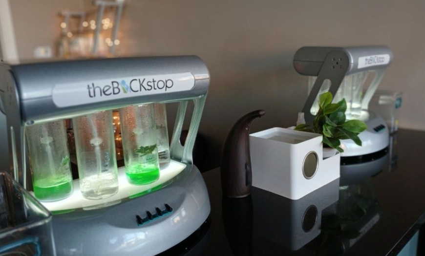 Image 9: Relaxing Massage & Oxygen Bar Journeys