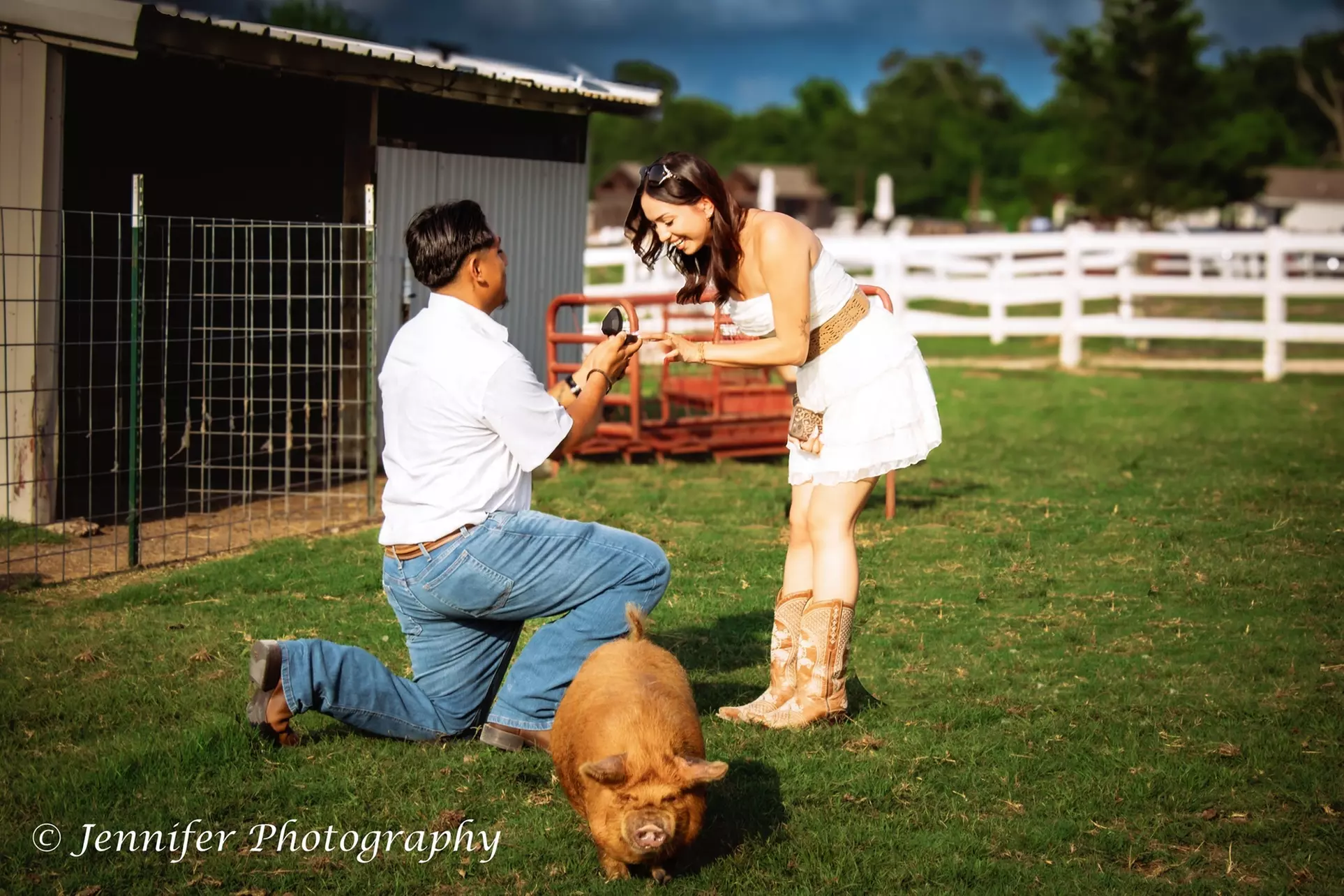 Lifecycle Series Photography at Jen Photography