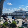 Image 2: 90 Minute Guided Electric Trike Tour of Downtown Naples, Florida! 
