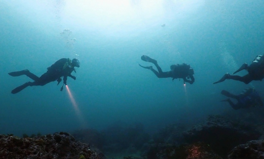 Image 8: Explore Monterey Bay Habitats With Guided Scuba Tours