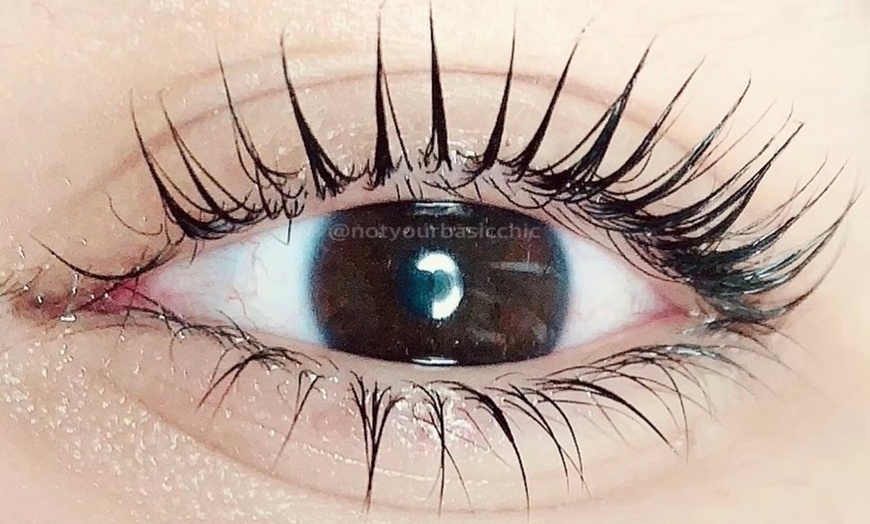 Image 2: Up to 37% Off on Eyelash Tinting at Not Your Basic Chic