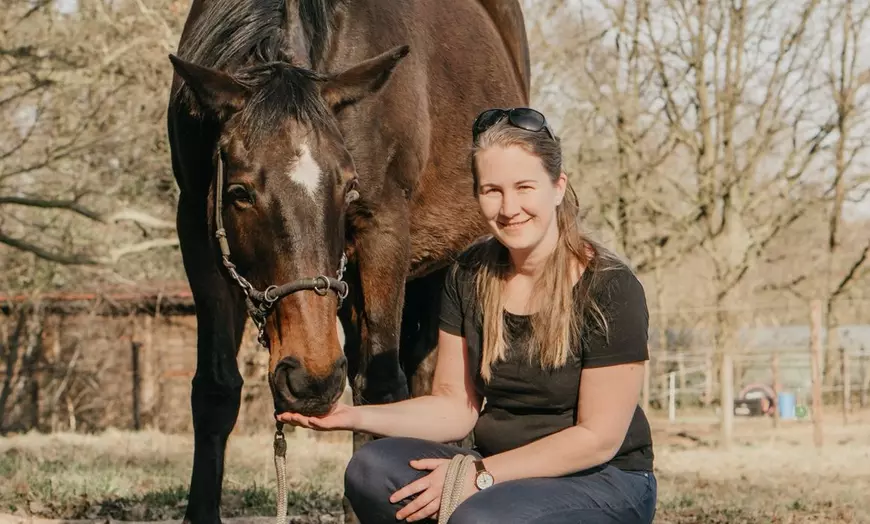 Image 1: Jusqu'à 40% de réduction sur le coaching mental des chevaux