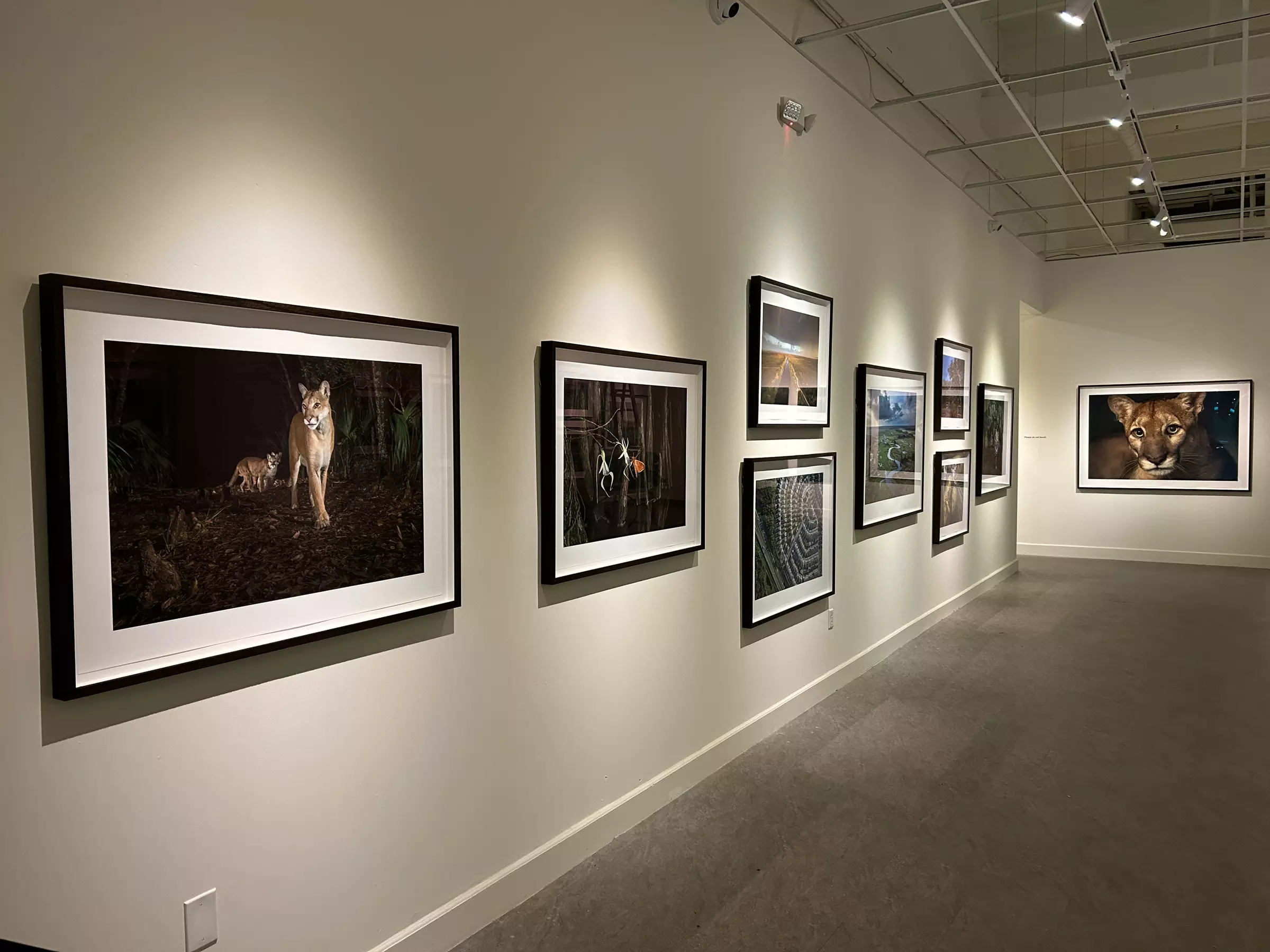 Discover Florida Museum of Photographic Arts' Exhibitions with Up to 40% Off on Family Packages and Adult Admissions - Second Medium