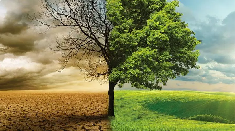 Transform Your Life with a Wellness Vision Coaching Session! 