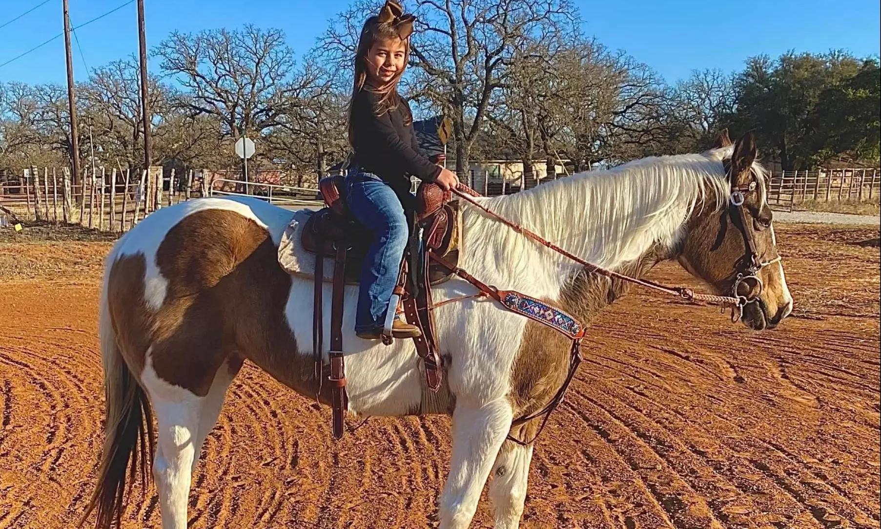 Private Horseback Riding Lessons – Embrace the Texas Ranch Life