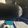 Image 2: Shampoo, Conditioning & Blowout, Retwist or Trim & Natural Style