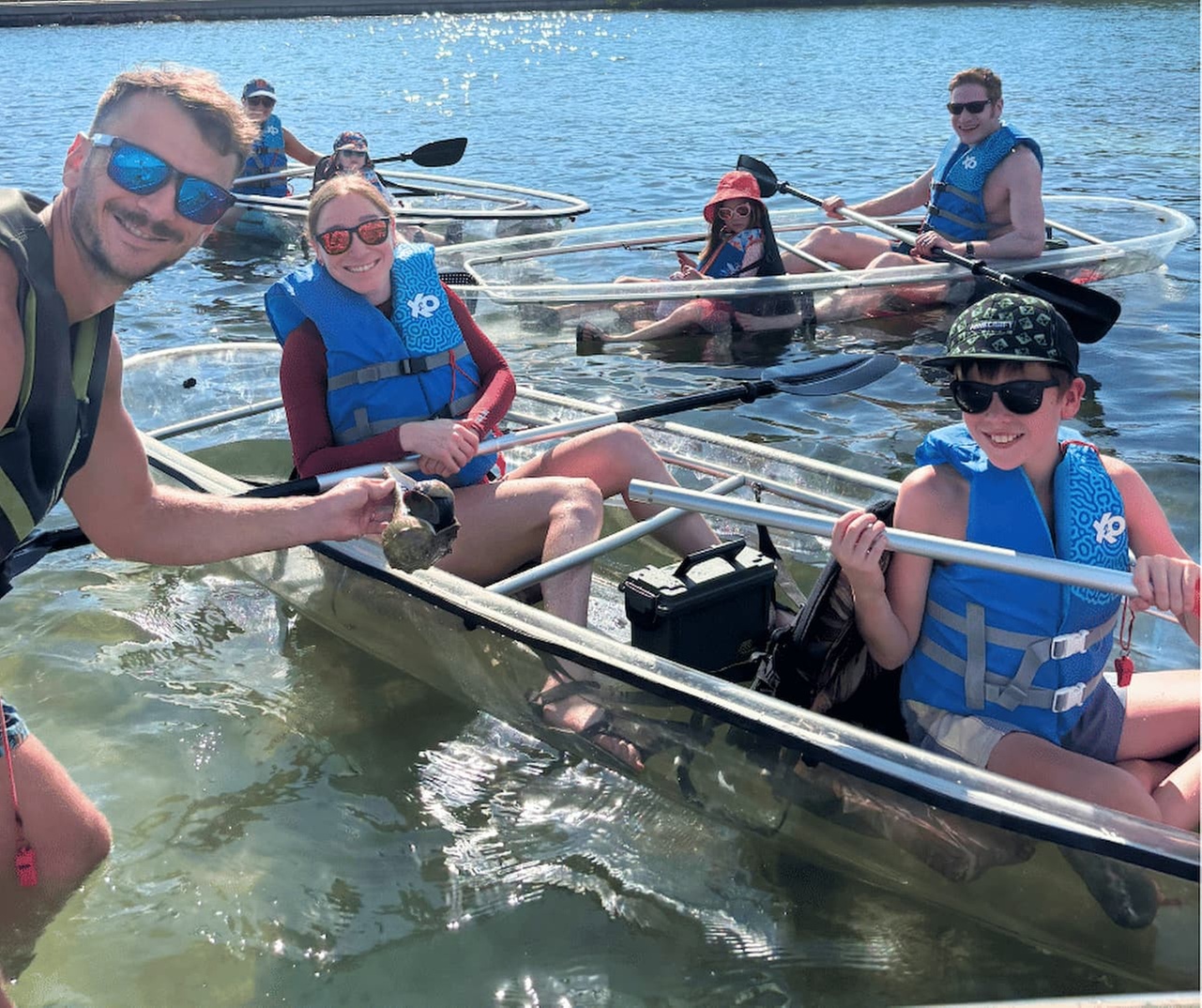 Explore Clam Bayou: 120-Minute Clear Kayak Mangrove Eco Tour