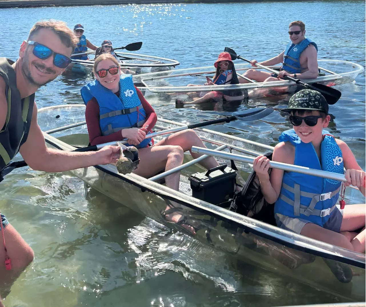 Explore Clam Bayou: 120-Minute Clear Kayak Mangrove Eco Tour