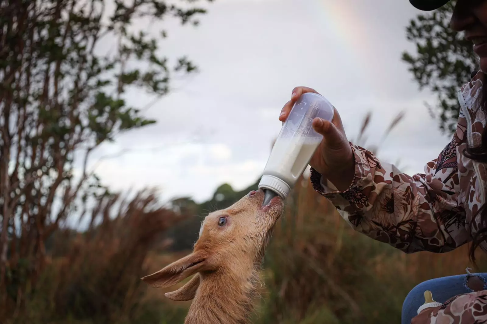 Up to 53% Off on Farm Tour at Ohana Ranch