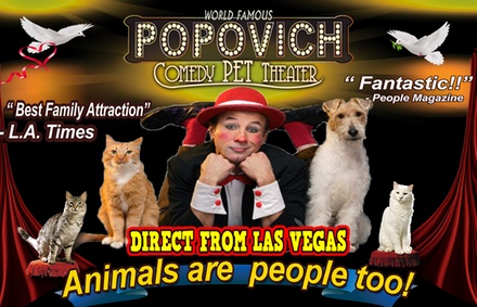 Popovich Pet Comedy Theatre in - Massillon, OH | Groupon