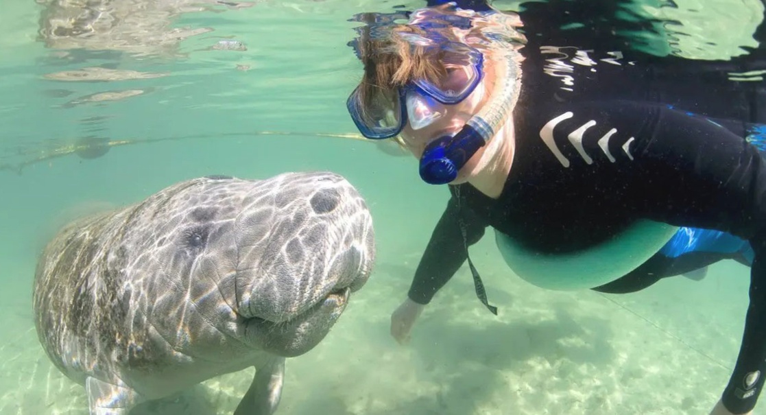 Up to 21% Off Guided 3-Hour Tour in Crystal River, FL