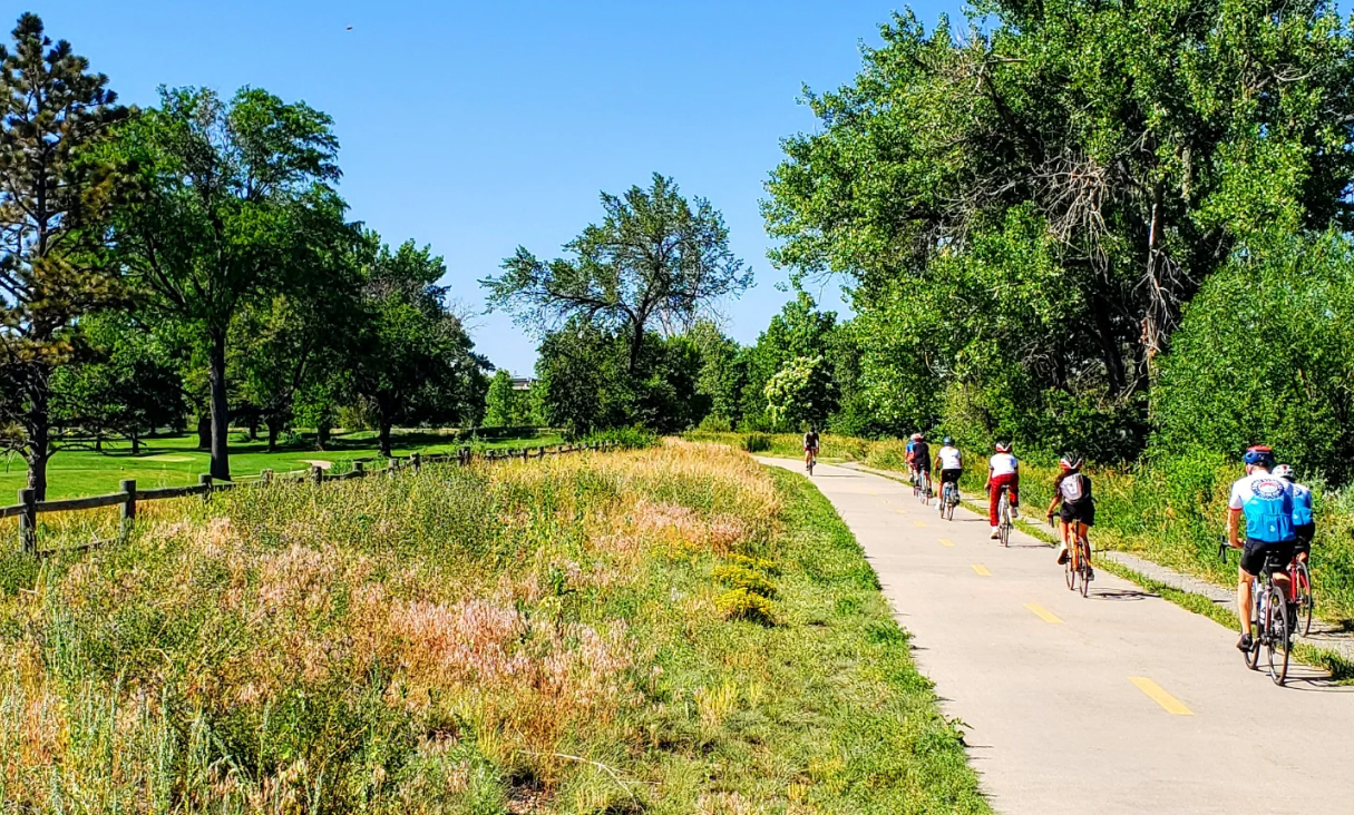 What to expect media