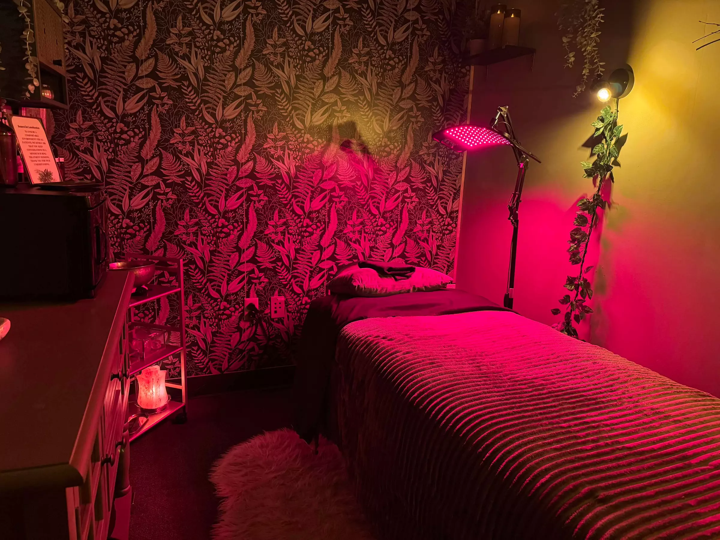 1, 3 or 6 Sessions of Hour Laser Lipo Sessions with Reiki and More