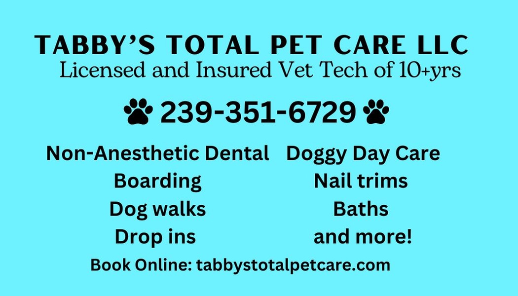 Up to 49% Off on Pet Grooming at Tabbys Total Pet Care LLC