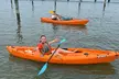 Explore One Hour Of Kayaking for Two, or Four at Island View Waterfront Cafe- Up to 45% Off  - Second Medium