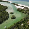 Image 6: Up to 37% Off on Kayak Rental at Murphs Surf - Kayak Rentals - Siesta Key