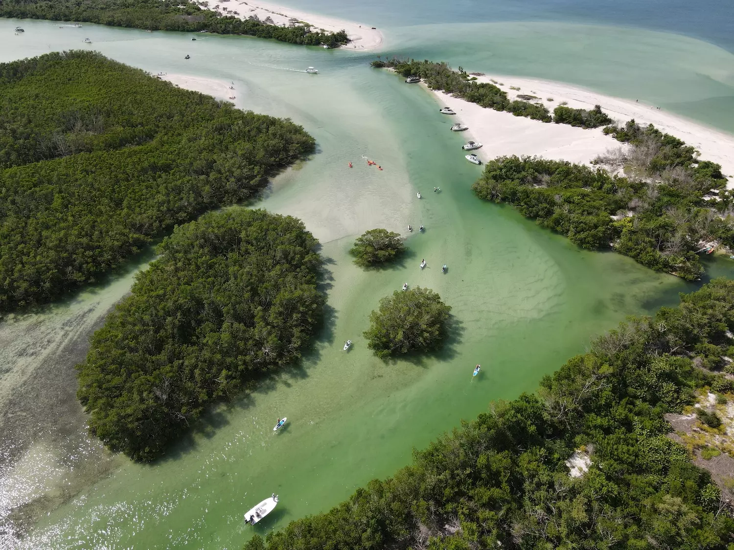 Up to 28% Off on Kayak Rental at Murphs Surf - Kayak Rentals - Siesta Key