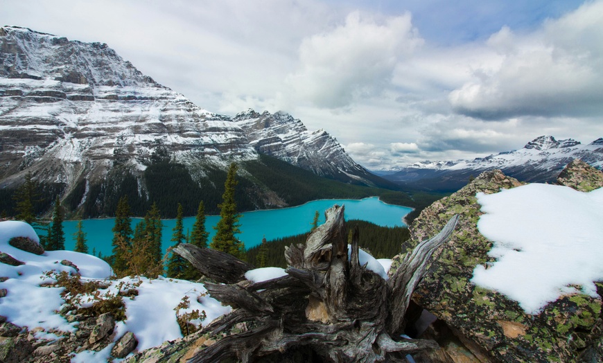 Image 5: Enjoy Nature with Columbia Icefield, Skywalk, Crowfoot Glacier Tours