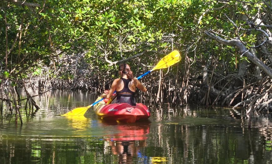 Image 3: Guided Kayak or SUP Eco-Tour – Geiger Key, Key West