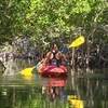 Image 3: Guided Kayak or SUP Eco-Tour – Geiger Key, Key West