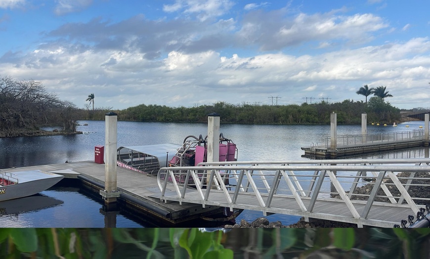 Image 8: Everglades Airboat Ride & Alligator Show with Miami Transportation