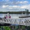 Image 8: Everglades Airboat Ride & Alligator Show with Miami Transportation