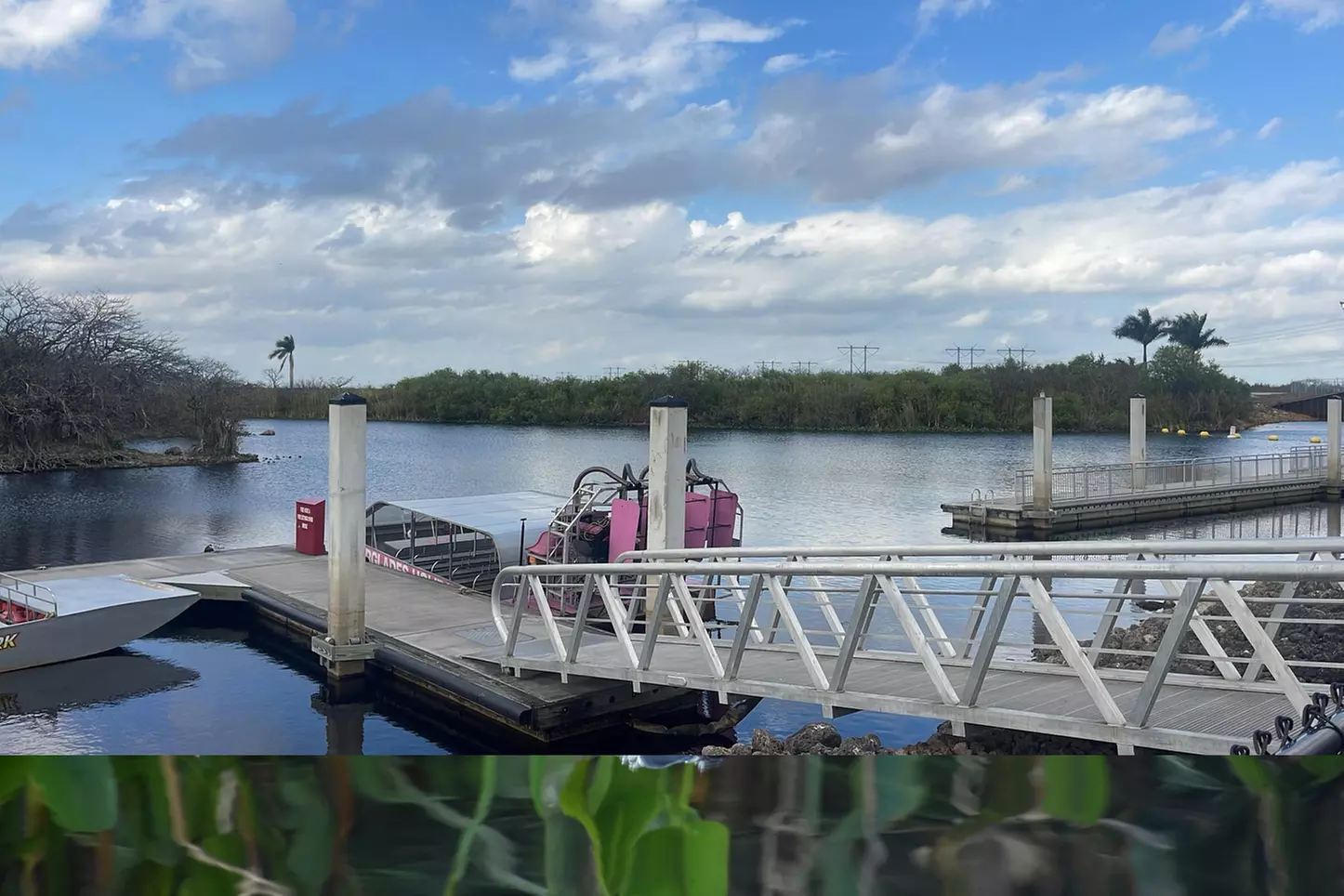 Everglades Airboat Ride & Alligator Show with Miami Transportation