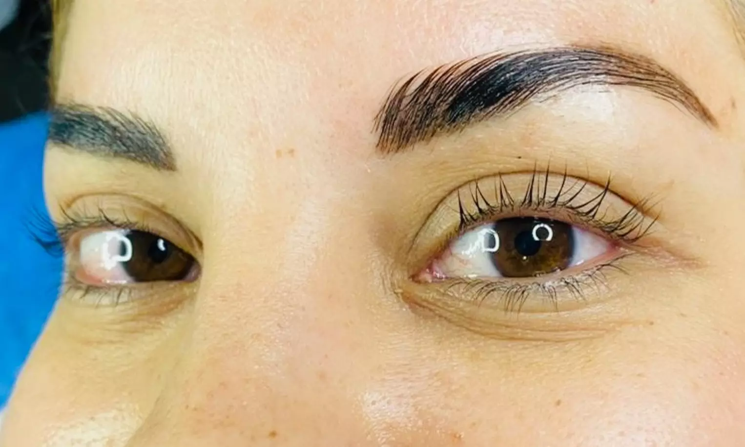 Choice of Eyelash & Brows Services and Packages