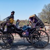 Image 6: Central Park Horse Carriage Tour – NYC