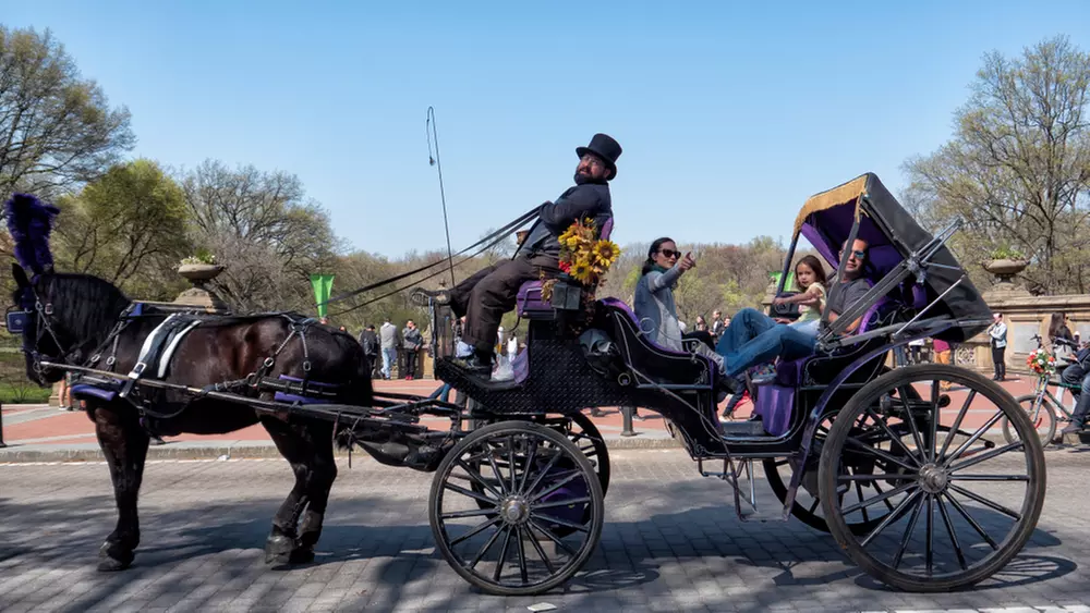 Discover NYC Fancy Rides' enchanting 45-minute Central Park horse carriage tour, offering up to 24% off for a nostalgic journey.