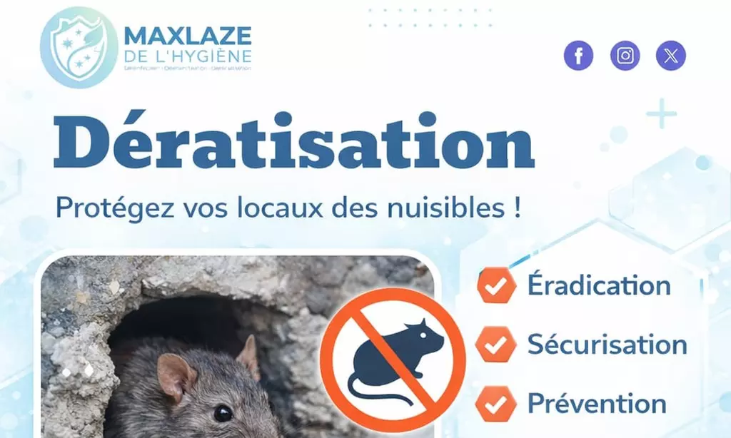 Dératisation, désinsectisation ou désinfection pour un environnement sain avec Maxlaz de l'Hygiène - Primary Image