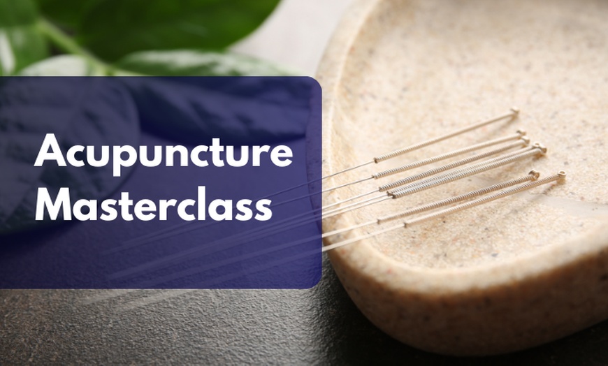 Image 1: Explore Acupuncture Masterclass or Holistic Medicine Online Training