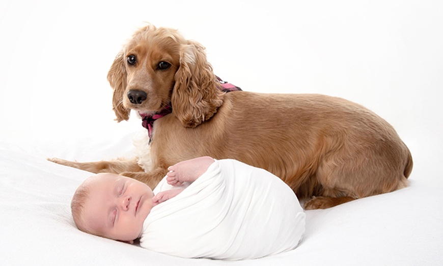 Image 8: Newborn Baby Photoshoot with one print at Flash Photography