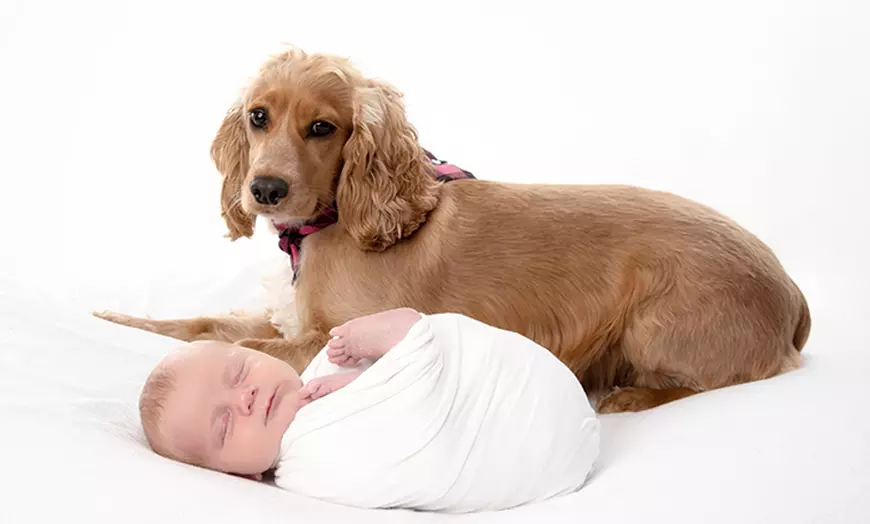 Image 8: Newborn Baby Photoshoot with one print at Flash Photography