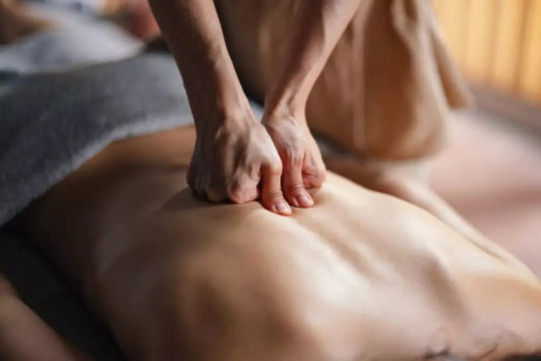 Up to 84% Off on Physical Therapy at Get on Physical Therapy